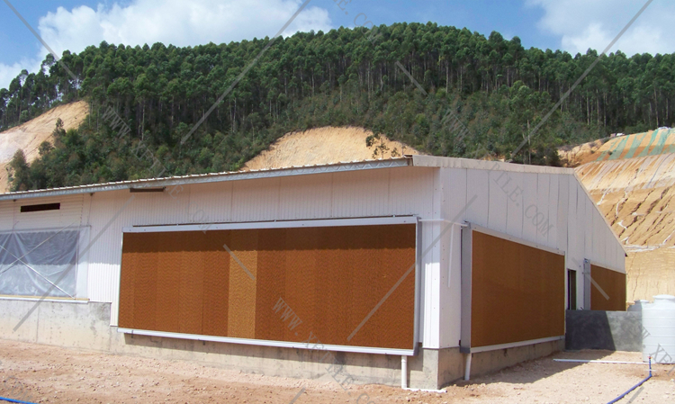 還在為廠房的墻體煩惱嗎？使用星發(fā)優(yōu)質(zhì)墻體廠房塑料瓦