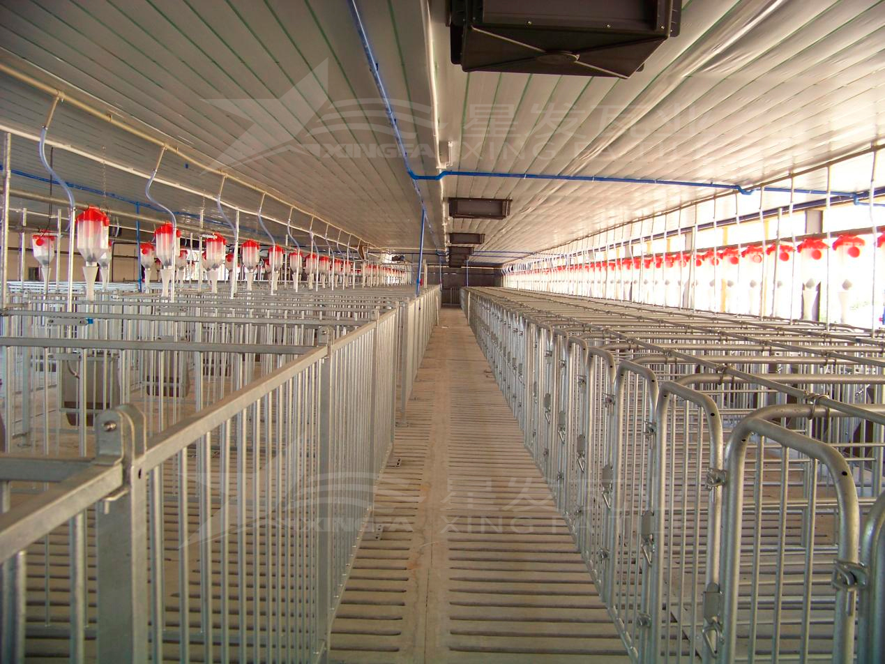 高溫來襲，養(yǎng)殖場安裝樹脂瓦，為小動物營造避暑勝地