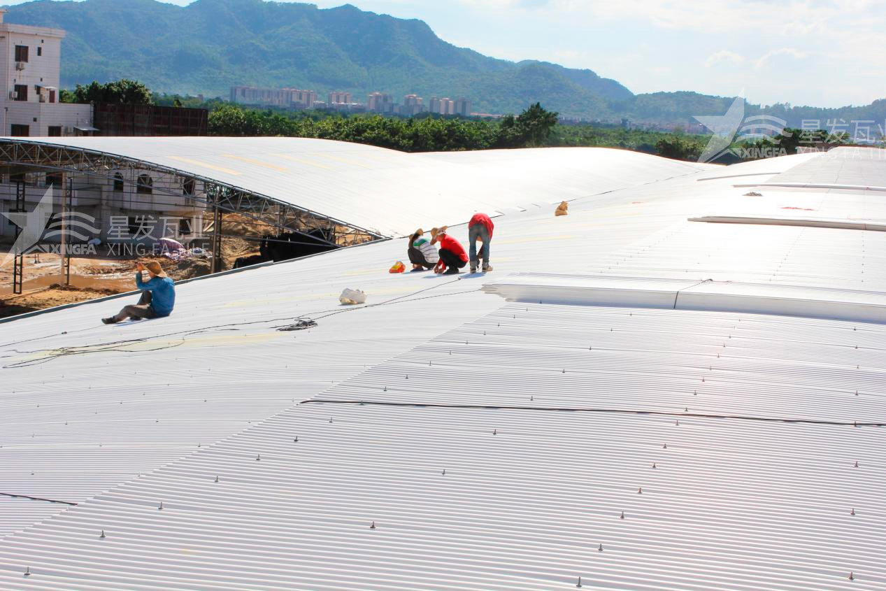 樹脂瓦漏水？不要慌，這些方法能夠快速解決問題！